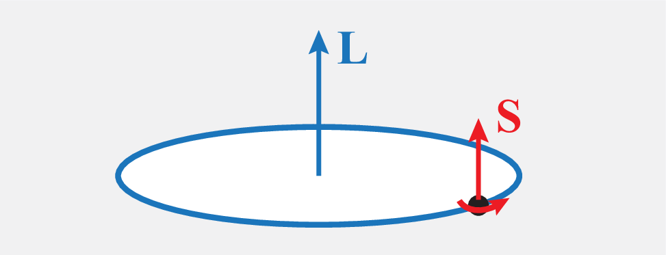 Spin.png