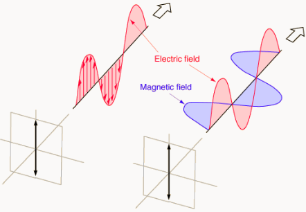 LinearlyPolarisedEField.png