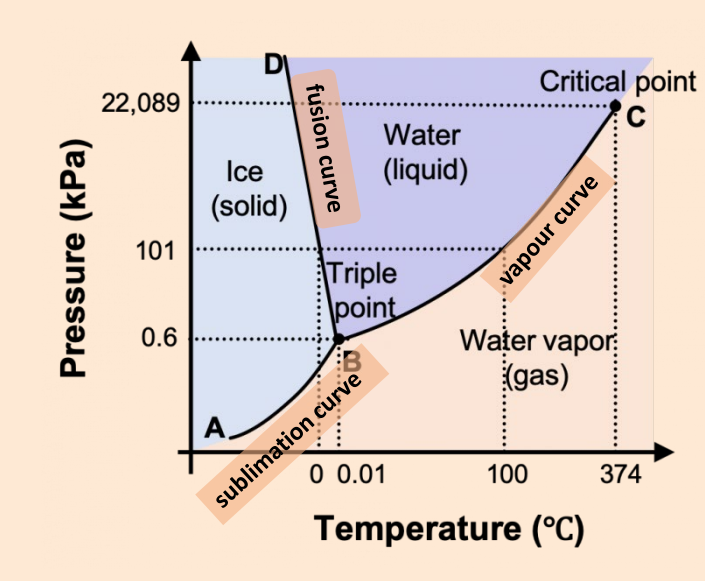 PhaseDiagrams.png